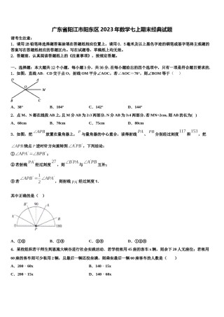 广东省阳江市阳东区2023年数学七上期末经典试题含解析.doc