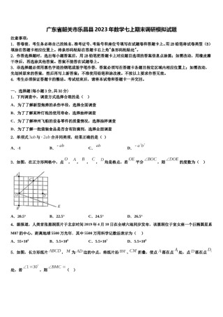 广东省韶关市乐昌县2023年数学七上期末调研模拟试题含解析.doc