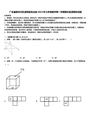 广东省韶关市乳源瑶族自治县2023年七年级数学第一学期期末监测模拟试题含解析.doc
