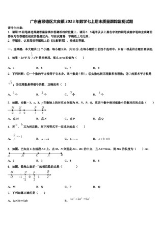 广东省顺德区大良镇2023年数学七上期末质量跟踪监视试题含解析.doc