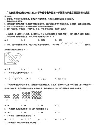 广东省高州市九校2023-2024学年数学七年级第一学期期末学业质量监测模拟试题含解析.doc