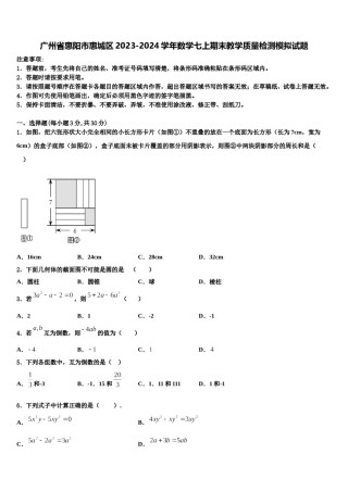 广州省惠阳市惠城区2023-2024学年数学七上期末教学质量检测模拟试题含解析.doc