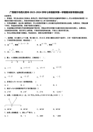 广西南宁市西大附中2023-2024学年七年级数学第一学期期末联考模拟试题含解析.doc