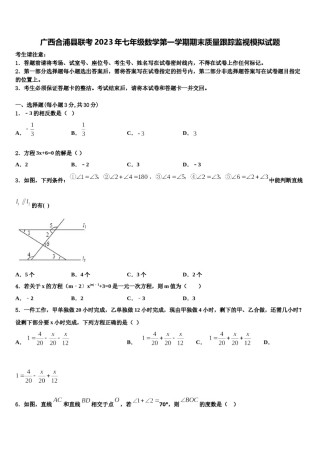 广西合浦县联考2023年七年级数学第一学期期末质量跟踪监视模拟试题含解析.doc