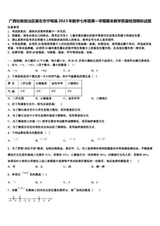 广西壮族自治区崇左市宁明县2023年数学七年级第一学期期末教学质量检测模拟试题含解析.doc
