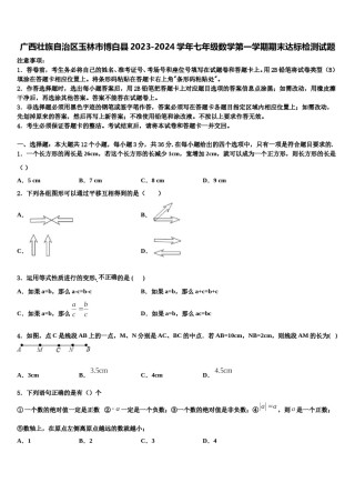 广西壮族自治区玉林市博白县2023-2024学年七年级数学第一学期期末达标检测试题含解析.doc