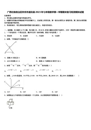 广西壮族自治区钦州市浦北县2023年七年级数学第一学期期末复习检测模拟试题含解析.doc
