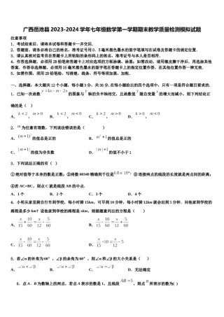 广西岳池县2023-2024学年七年级数学第一学期期末教学质量检测模拟试题含解析.doc