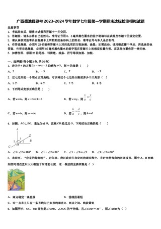 广西岳池县联考2023-2024学年数学七年级第一学期期末达标检测模拟试题含解析.doc