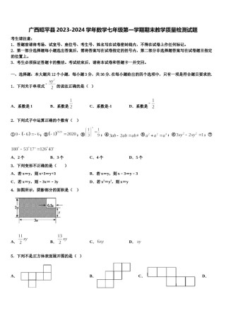 广西昭平县2023-2024学年数学七年级第一学期期末教学质量检测试题含解析.doc