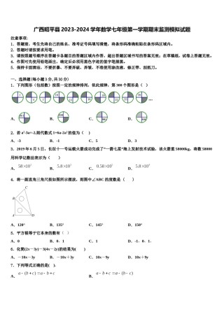 广西昭平县2023-2024学年数学七年级第一学期期末监测模拟试题含解析.doc