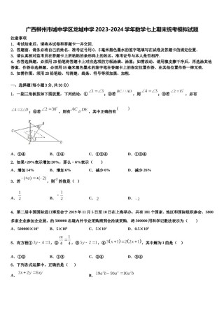 广西柳州市城中学区龙城中学2023-2024学年数学七上期末统考模拟试题含解析.doc