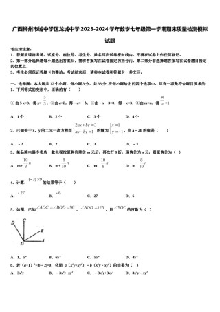 广西柳州市城中学区龙城中学2023-2024学年数学七年级第一学期期末质量检测模拟试题含解析.doc