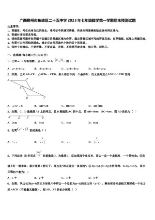 广西柳州市鱼峰区二十五中学2023年七年级数学第一学期期末预测试题含解析.doc