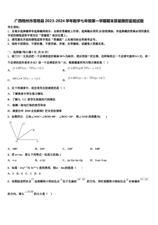 广西梧州市苍梧县2023-2024学年数学七年级第一学期期末质量跟踪监视试题含解析.doc