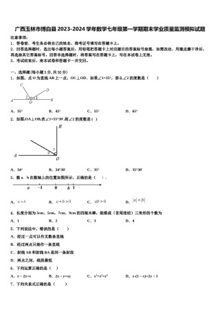 广西玉林市博白县2023-2024学年数学七年级第一学期期末学业质量监测模拟试题含解析.doc