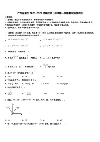 广西省崇左2023-2024学年数学七年级第一学期期末预测试题含解析.doc