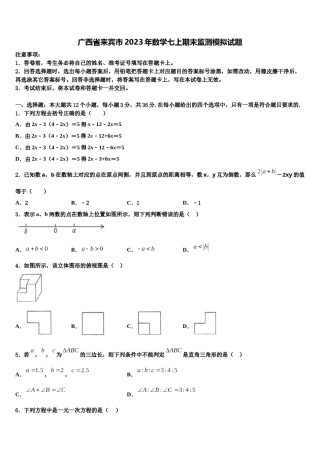 广西省来宾市2023年数学七上期末监测模拟试题含解析.doc