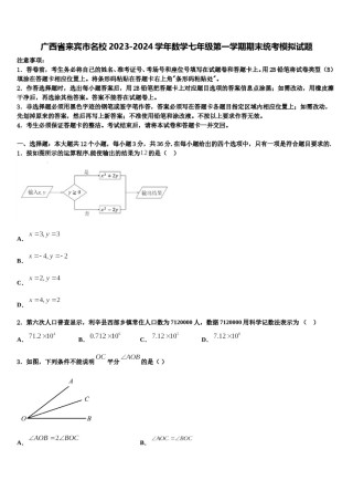 广西省来宾市名校2023-2024学年数学七年级第一学期期末统考模拟试题含解析.doc