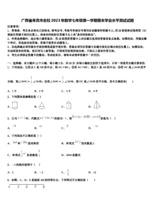 广西省来宾市名校2023年数学七年级第一学期期末学业水平测试试题含解析.doc