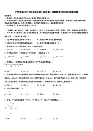 广西省梧州市2023年数学七年级第一学期期末综合测试模拟试题含解析.doc