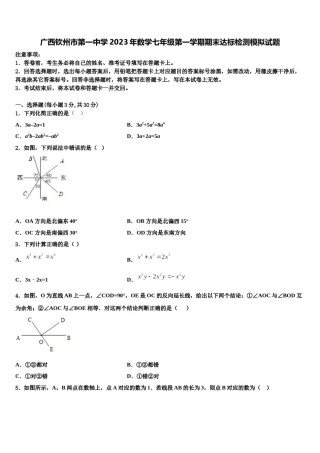 广西钦州市第一中学2023年数学七年级第一学期期末达标检测模拟试题含解析.doc