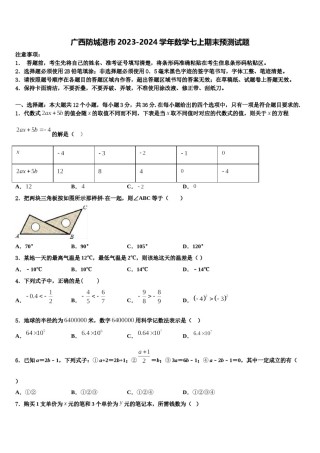 广西防城港市2023-2024学年数学七上期末预测试题含解析.doc