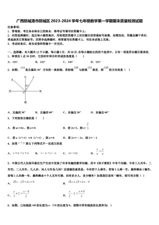 广西防城港市防城区2023-2024学年七年级数学第一学期期末质量检测试题含解析.doc