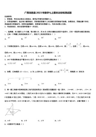 广西龙胜县2023年数学七上期末达标检测试题含解析.doc