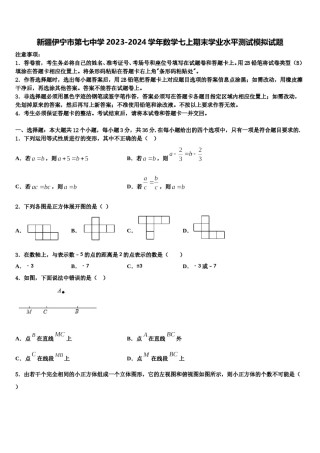 新疆伊宁市第七中学2023-2024学年数学七上期末学业水平测试模拟试题含解析.doc