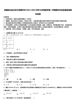 新疆自治区北京大附属中学2023-2024学年七年级数学第一学期期末学业质量监测模拟试题含解析.doc