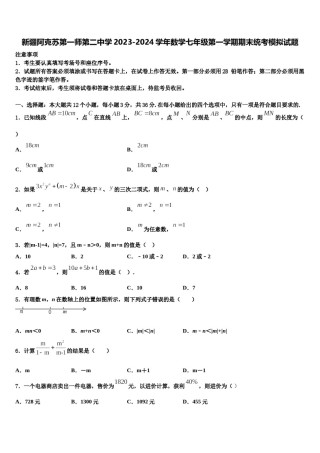 新疆阿克苏第一师第二中学2023-2024学年数学七年级第一学期期末统考模拟试题含解析.doc