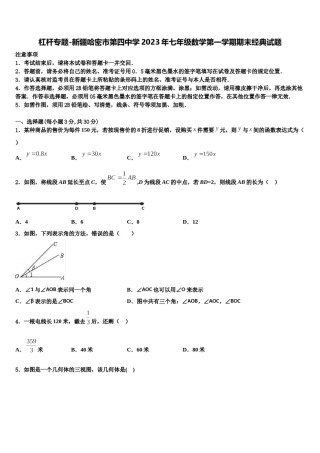 杠杆专题-新疆哈密市第四中学2023年七年级数学第一学期期末经典试题含解析.doc