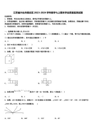 江苏省兴化市顾庄区2023-2024学年数学七上期末学业质量监测试题含解析.doc
