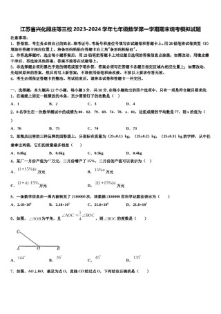 江苏省兴化顾庄等三校2023-2024学年七年级数学第一学期期末统考模拟试题含解析.doc