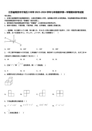 江苏省南京市宁海五十中学2023-2024学年七年级数学第一学期期末联考试题含解析.doc