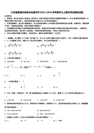 江苏省南通市如皋市白蒲中学2023-2024学年数学七上期末考试模拟试题含解析.doc