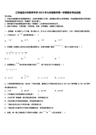 江苏省宜兴市新芳中学2023年七年级数学第一学期期末考试试题含解析.doc