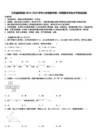 江苏省射阳县2023-2024学年七年级数学第一学期期末学业水平测试试题含解析.doc