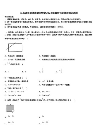 江苏省张家港市梁丰中学2023年数学七上期末调研试题含解析.doc
