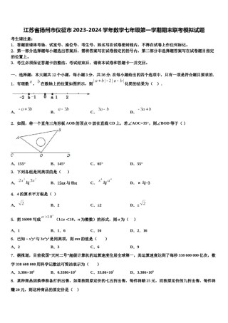 江苏省扬州市仪征市2023-2024学年数学七年级第一学期期末联考模拟试题含解析.doc