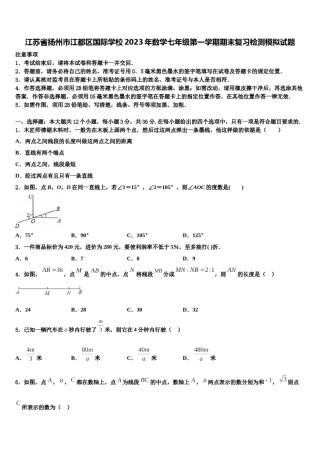 江苏省扬州市江都区国际学校2023年数学七年级第一学期期末复习检测模拟试题含解析.doc