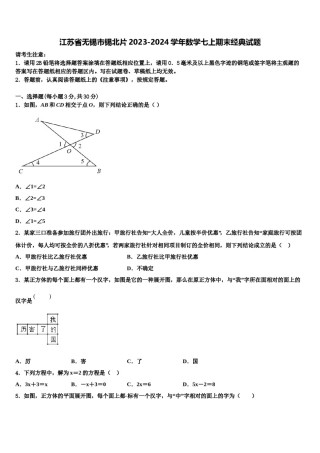 江苏省无锡市锡北片2023-2024学年数学七上期末经典试题含解析.doc