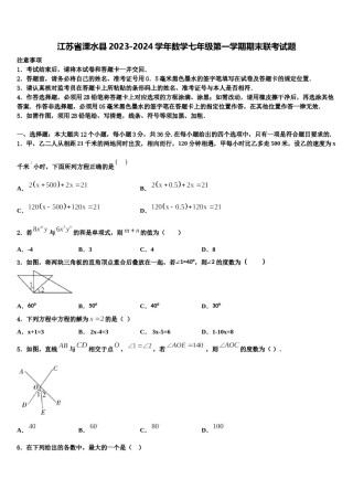 江苏省溧水县2023-2024学年数学七年级第一学期期末联考试题含解析.doc