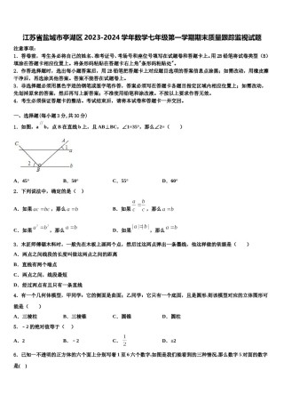 江苏省盐城市亭湖区2023-2024学年数学七年级第一学期期末质量跟踪监视试题含解析.doc