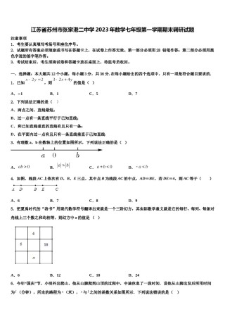 江苏省苏州市张家港二中学2023年数学七年级第一学期期末调研试题含解析.doc