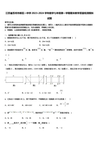 江苏省苏州市新区一中学2023-2024学年数学七年级第一学期期末教学质量检测模拟试题含解析.doc