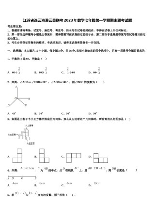 江苏省连云港灌云县联考2023年数学七年级第一学期期末联考试题含解析.doc