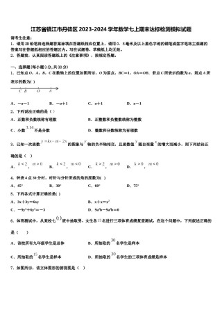 江苏省镇江市丹徒区2023-2024学年数学七上期末达标检测模拟试题含解析.doc