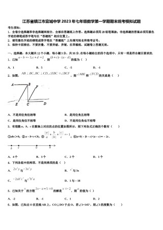 江苏省镇江市宜城中学2023年七年级数学第一学期期末统考模拟试题含解析.doc